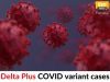 Delta Plus COVID variant cases in Rudraprayag risen to 15